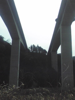 止まらない道路建設_a0103999_1857681.jpg