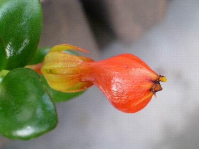 e0025300_15314193.jpg