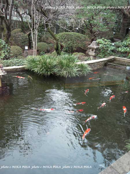 石井桃子展_b0164803_0413046.jpg