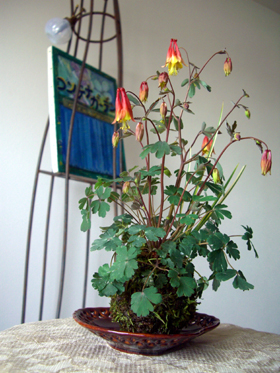 f0217905_11355365.jpg