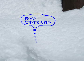 f0161708_21275141.jpg