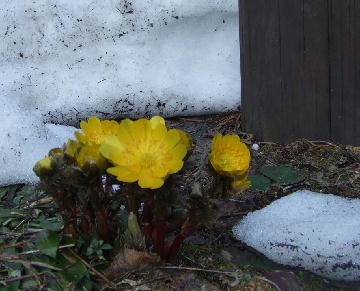 f0161708_2151543.jpg