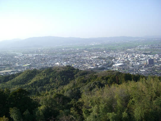 高良大社の桜_d0116009_22544312.jpg