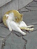 f0049813_18325824.jpg