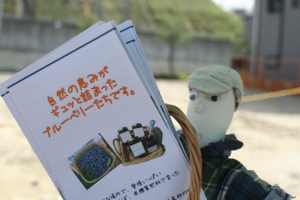 3月五六市出店しました_c0123523_591793.jpg