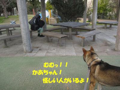 f0143123_1957113.jpg