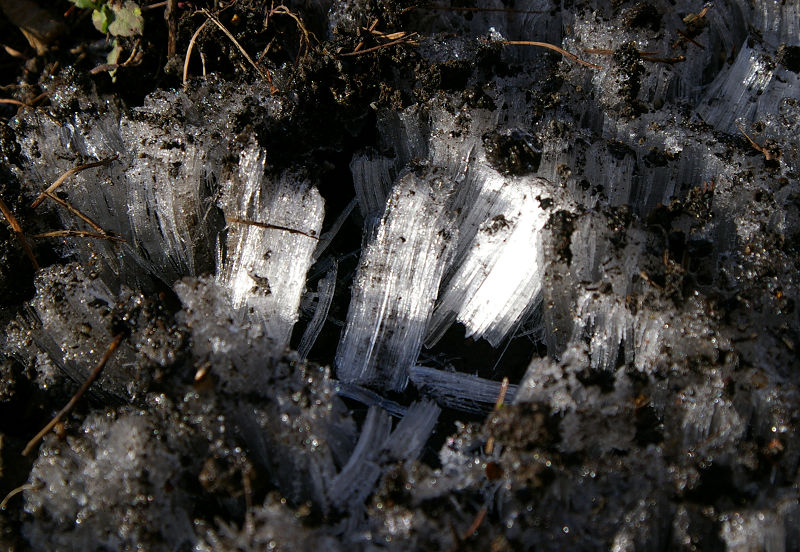 e0136424_831315.jpg