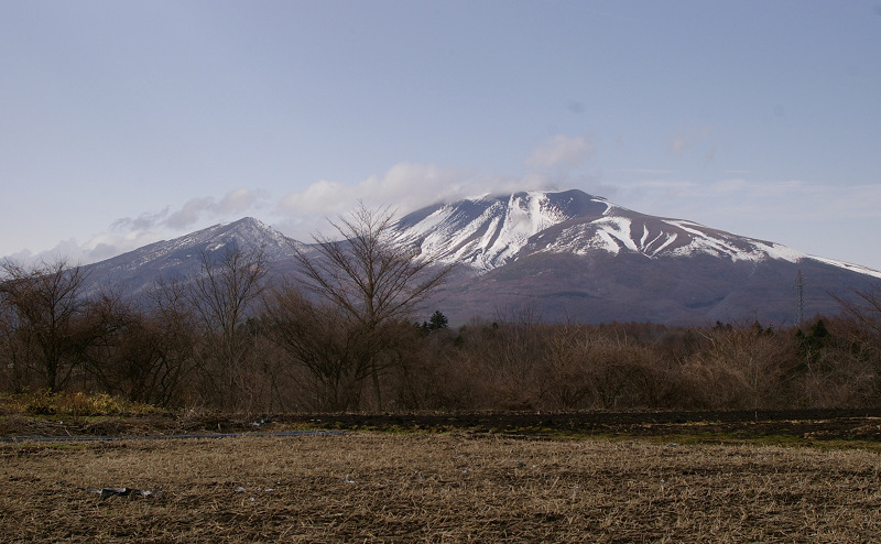 e0136424_8334781.jpg