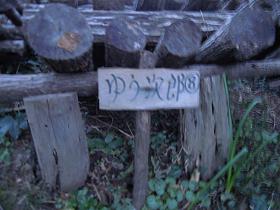 e0170830_16585772.jpg