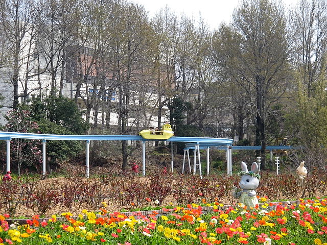 a0137132_522783.jpg