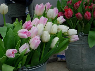 f0200433_10363339.jpg