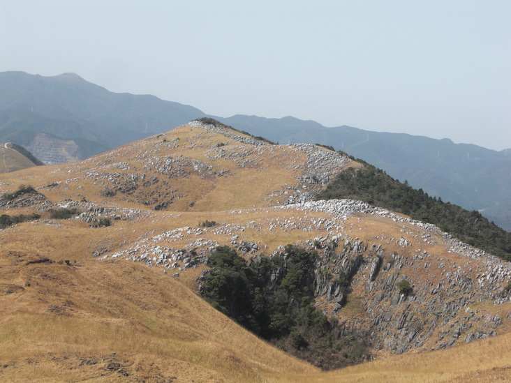 貫山へ_e0164643_20263828.jpg