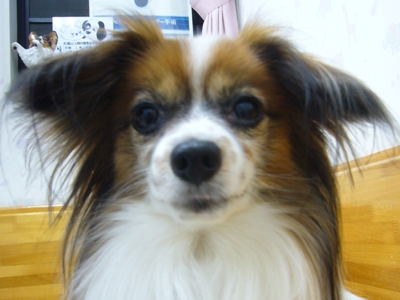 e0100046_22322416.jpg