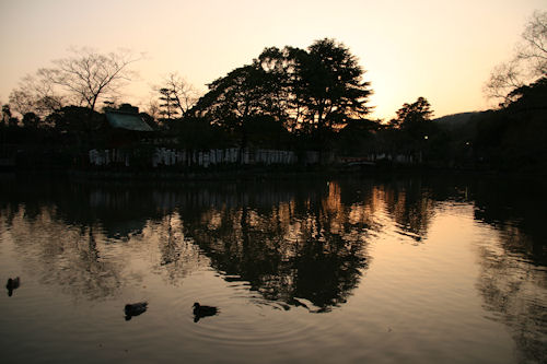 鶴岡八幡宮の夕暮れ_f0048546_622457.jpg