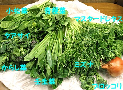 ☆春の若菜と菜葉の荷物☆_c0092953_18104560.jpg