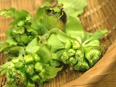 ☆春の若菜と菜葉の荷物☆_c0092953_1851636.jpg
