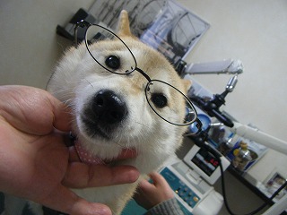 最近の出来事_b0059154_17502339.jpg