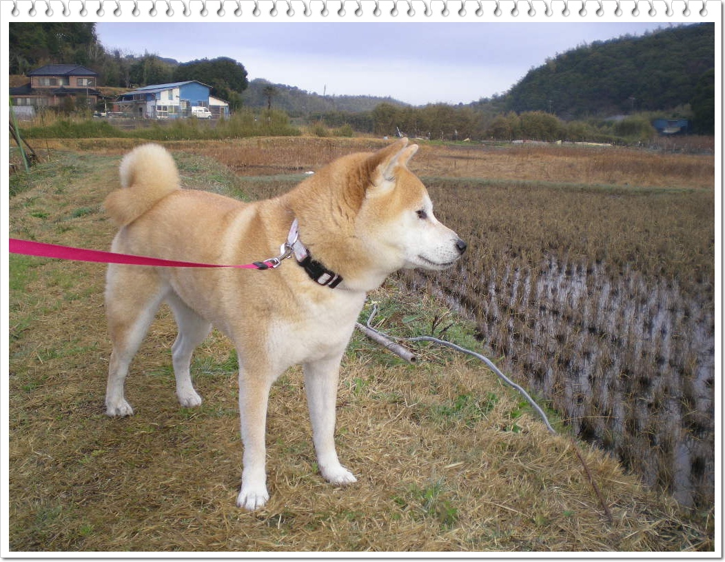 2010年3月17日(水)えっ?冬に逆戻り!_f0060461_105907.jpg