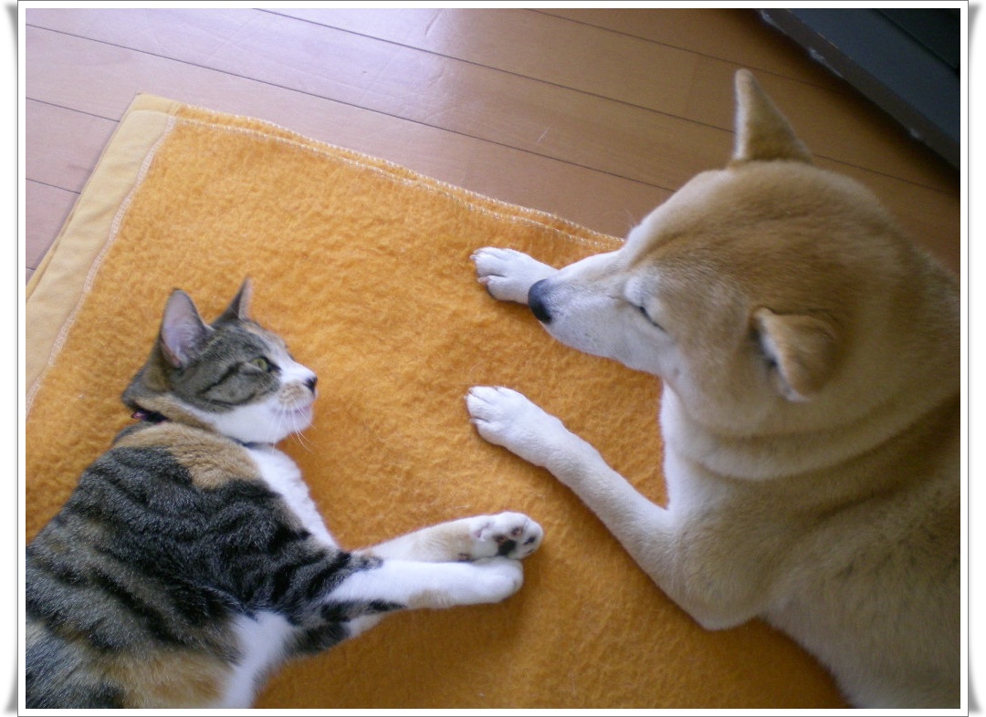 2010年3月17日(水)えっ?冬に逆戻り!_f0060461_11164473.jpg