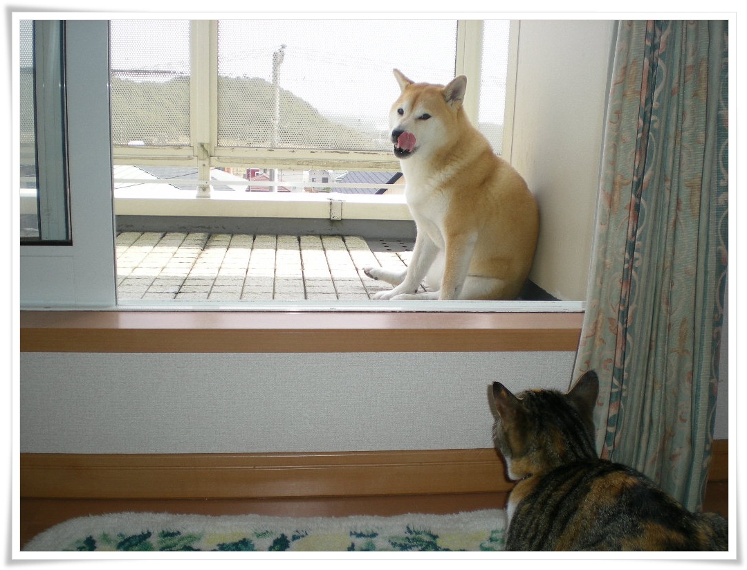 2010年3月17日(水)えっ?冬に逆戻り!_f0060461_11211883.jpg