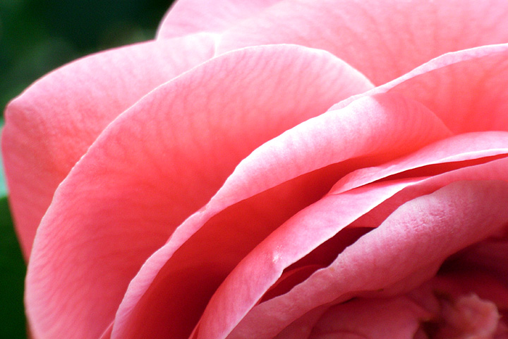 b0006870_1861827.jpg