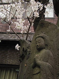 願わくは花の下にて春死なん……_b0141773_10543159.jpg