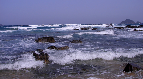 e0064375_11996.jpg