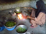 f0204584_0315621.jpg