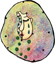 a0154392_2220342.gif