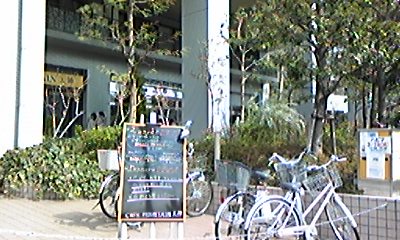 b0186130_170073.jpg