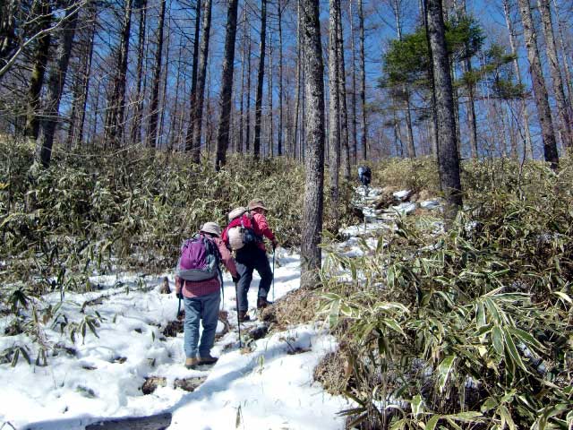 日向山からの甲斐齣ケ岳の眺めは最高！_d0000031_14393619.jpg