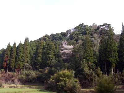 a0134952_1531771.jpg