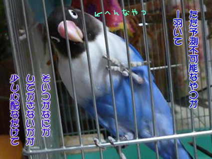 ダンゴの言い訳_e0147757_1163039.jpg