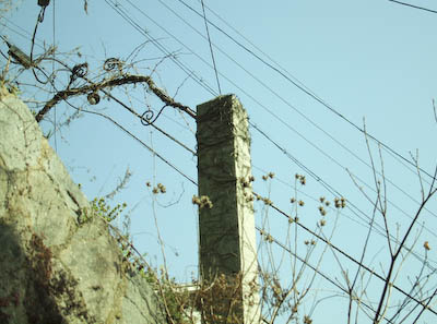 f0202957_119386.jpg