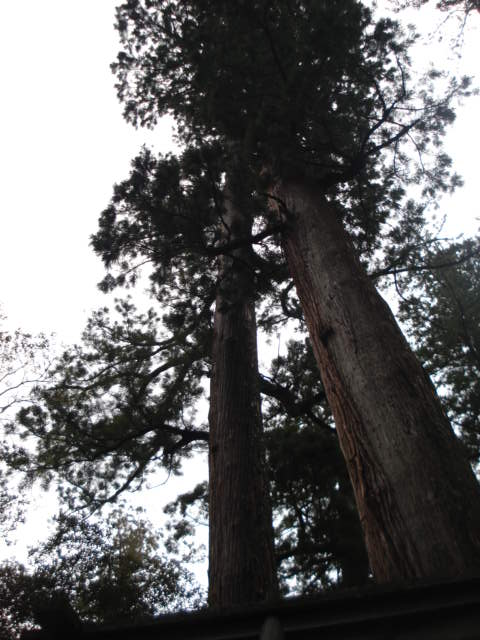 c0115958_71418.jpg