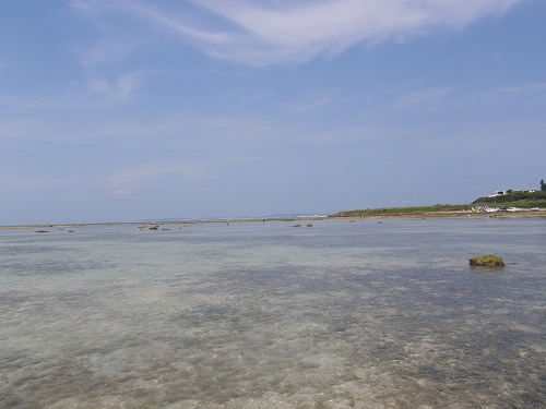 c0180460_227472.jpg