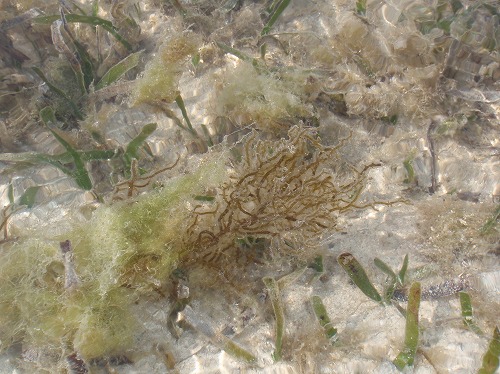 c0180460_2275463.jpg