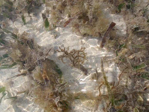 c0180460_2283391.jpg