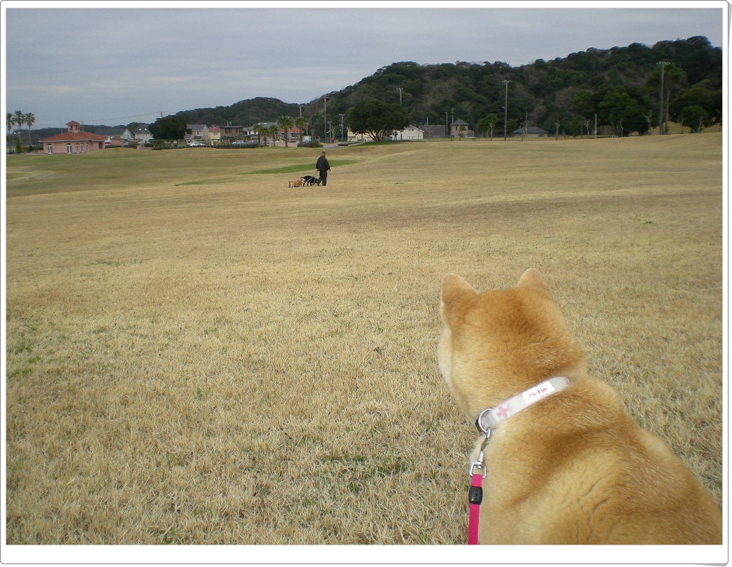 2010年3月18日(木)こころちゃん、何してるの~?_f0060461_1034110.jpg