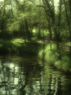 a0063364_23335681.gif