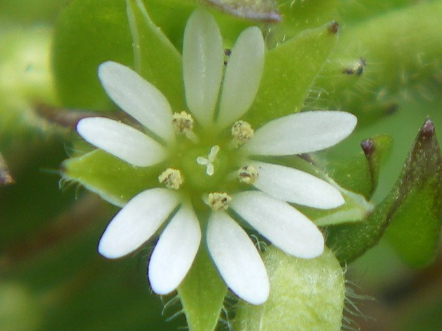 d0054276_19542265.jpg
