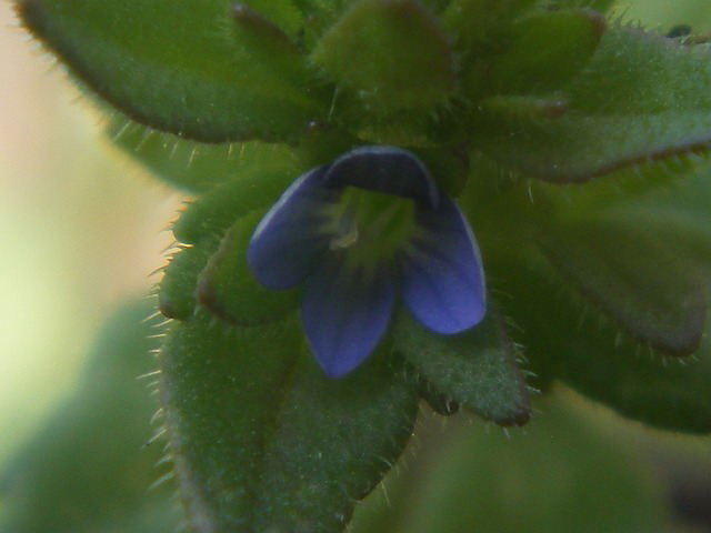 d0054276_19545485.jpg