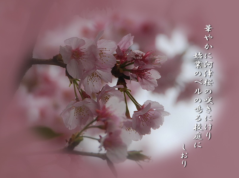 春の花　画像短歌それぞれ_c0187781_23584766.jpg