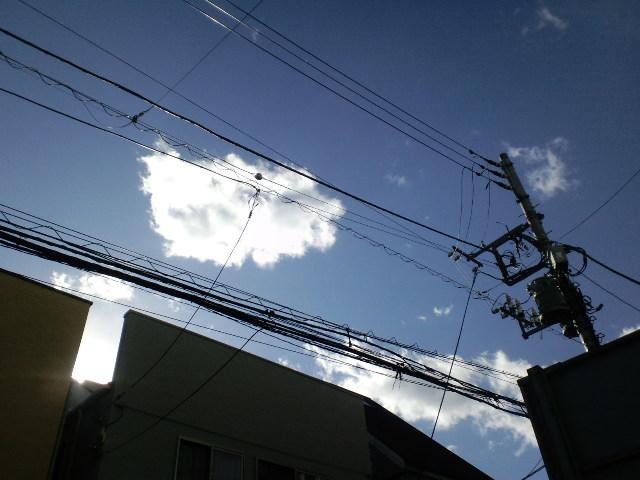 2010/03/17　　　せと_f0035084_055231.jpg