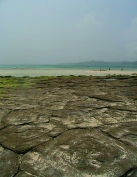 球美の島・久米島旅行記_f0165392_23361899.jpg