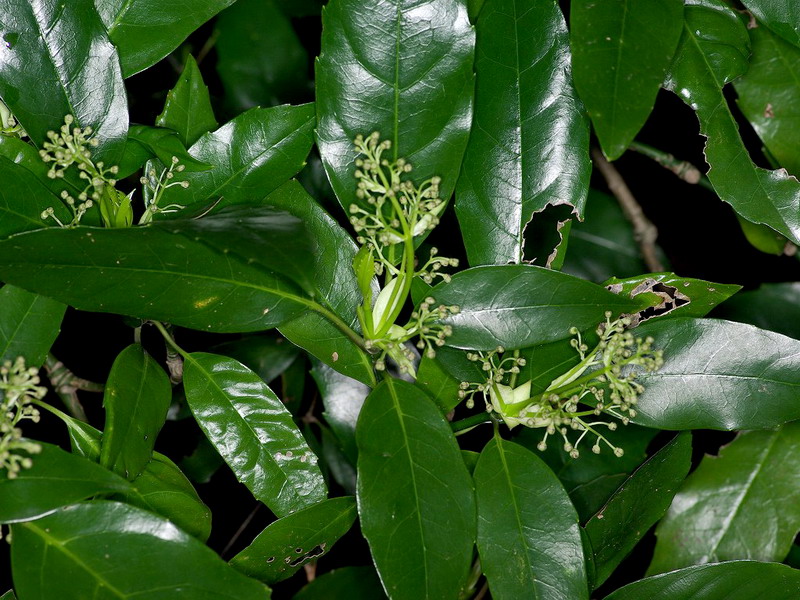 f0204094_8264634.jpg