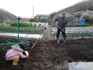 畑を耕すマコちゃん_e0166301_2216323.jpg