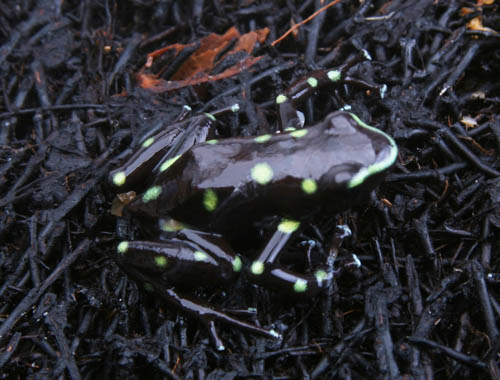 c0165803_23404730.jpg
