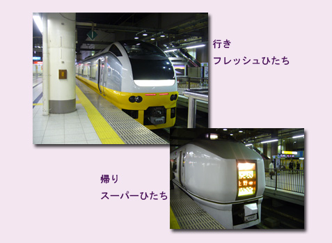 水戸 ウォーキング(1) 水戸城跡 弘道館_c0051105_044235.jpg
