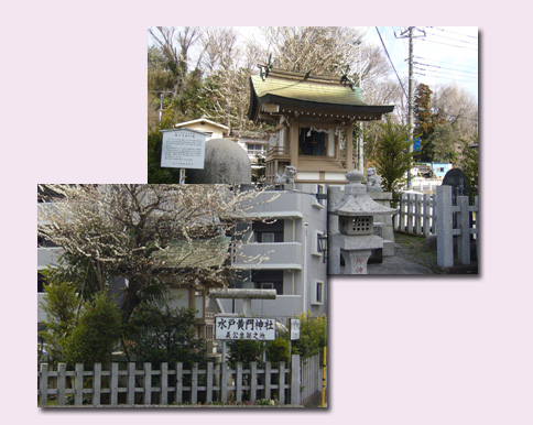 水戸 ウォーキング(1) 水戸城跡 弘道館_c0051105_0493084.jpg